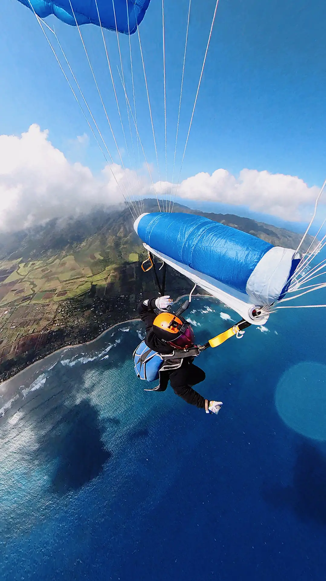 Skydiver under a blue canopy flying above a tropical coastline